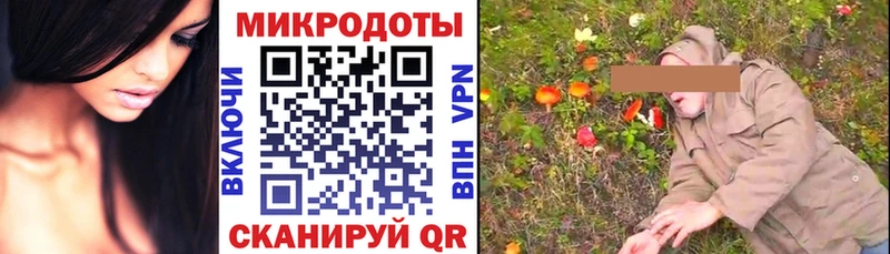 купить сайты Георгиевск Галлюциногенные грибы MAGIC MUSHROOMS